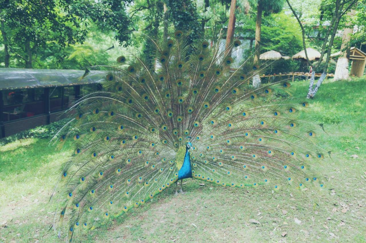 Shangri-La Hangzhou Bagian luar foto